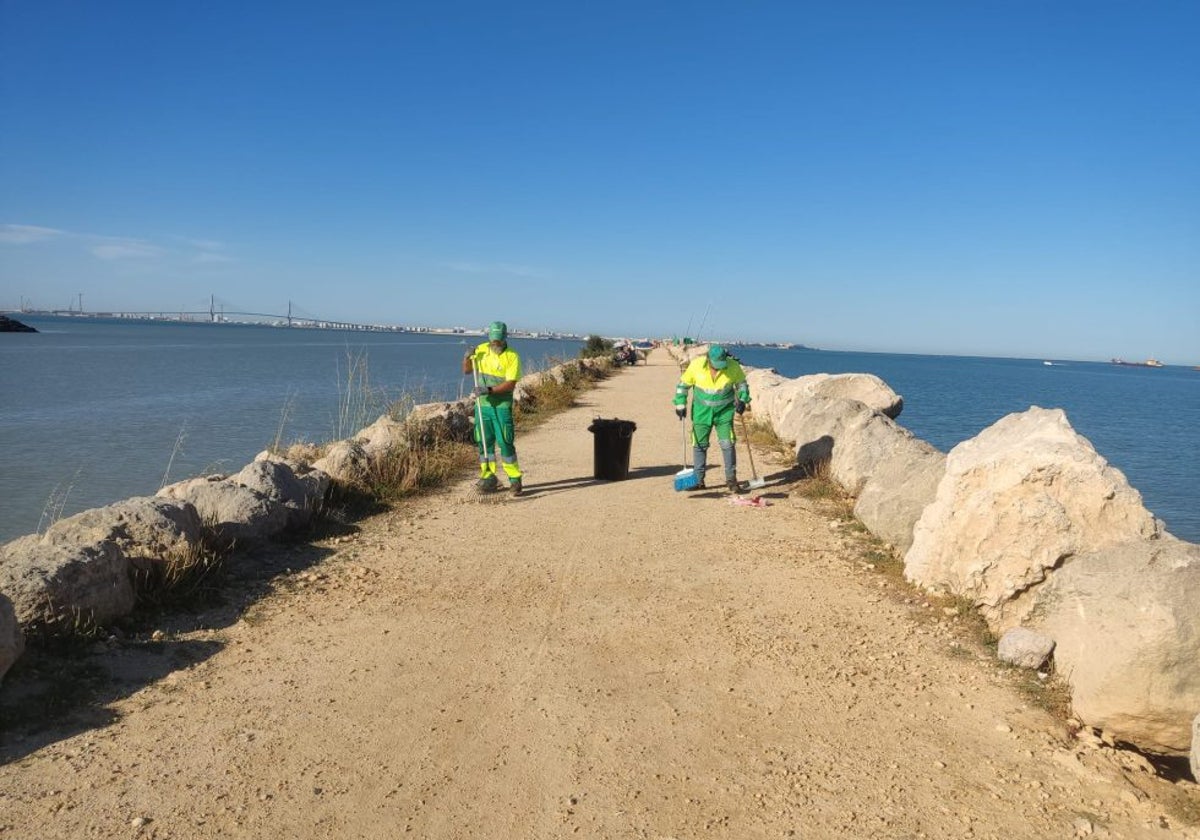 La limpieza de los espigones de la Bahía recoge 1,7 toneladas de residuos