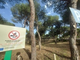La Junta de Andalucía prohíbe las barbacoas: estas son las excepciones