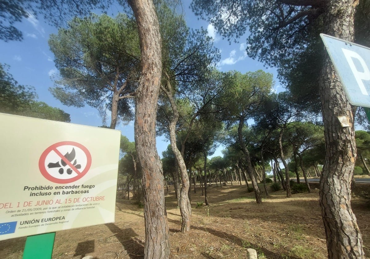 La Junta de Andalucía prohíbe las barbacoas: estas son las excepciones