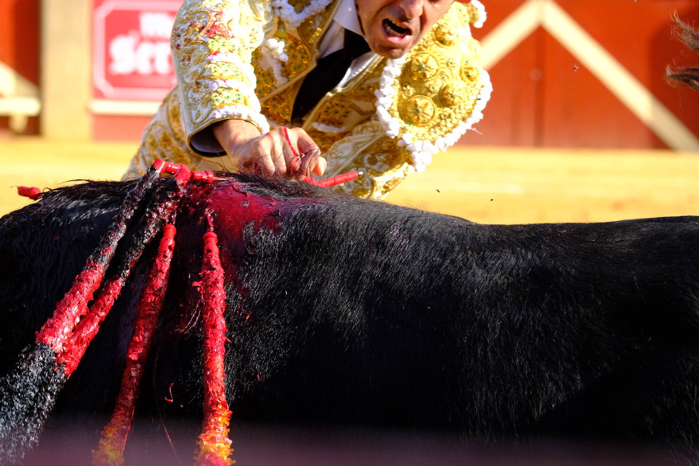Toros: Perera, Talavante y El Melli en Sanlúcar