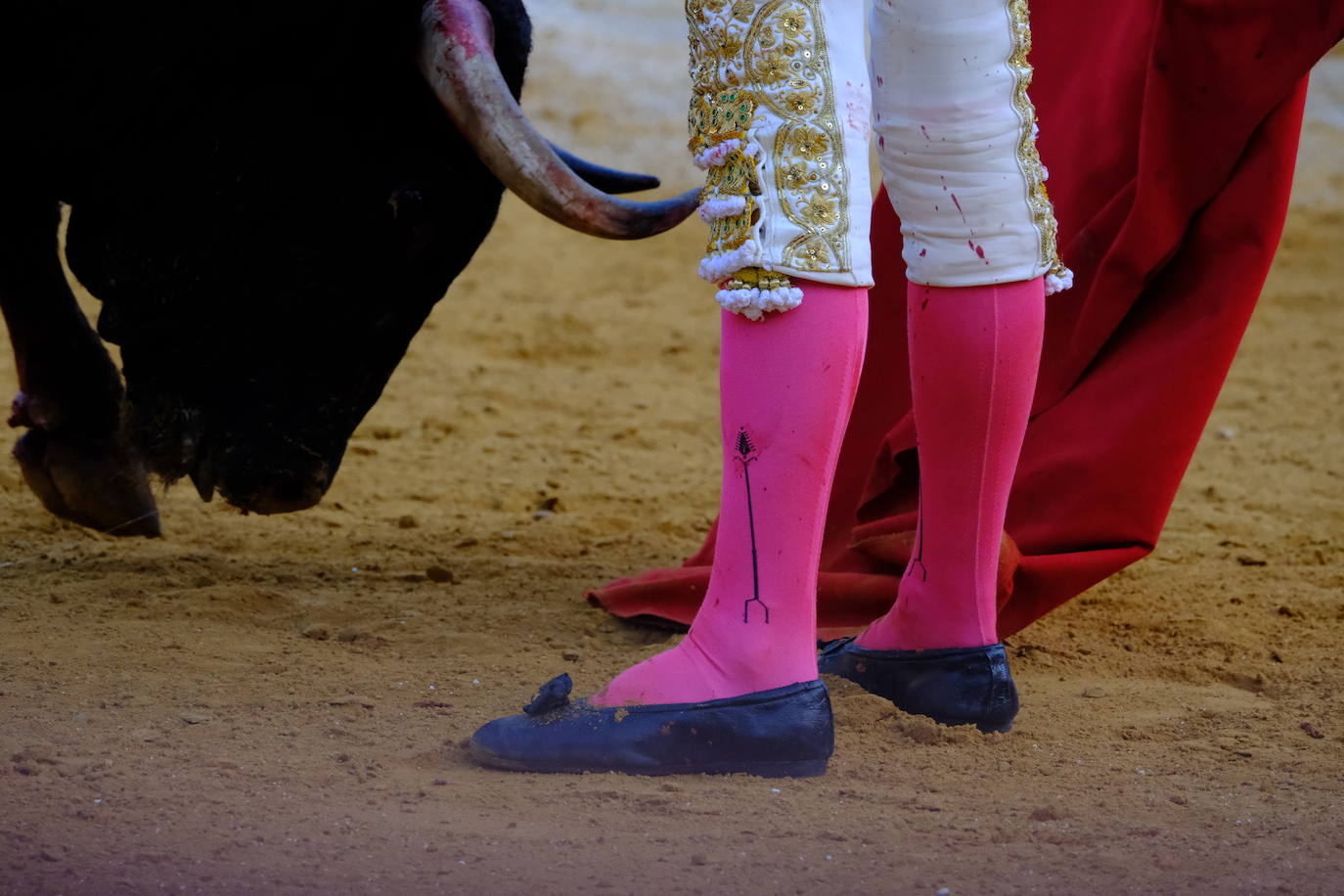 Toros: Perera, Talavante y El Melli en Sanlúcar