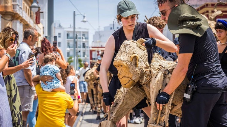 Una estampida de animales salvajes llega a la localidad gaditana de San Fernando tras recorrer África: «Ha sido espectacular»