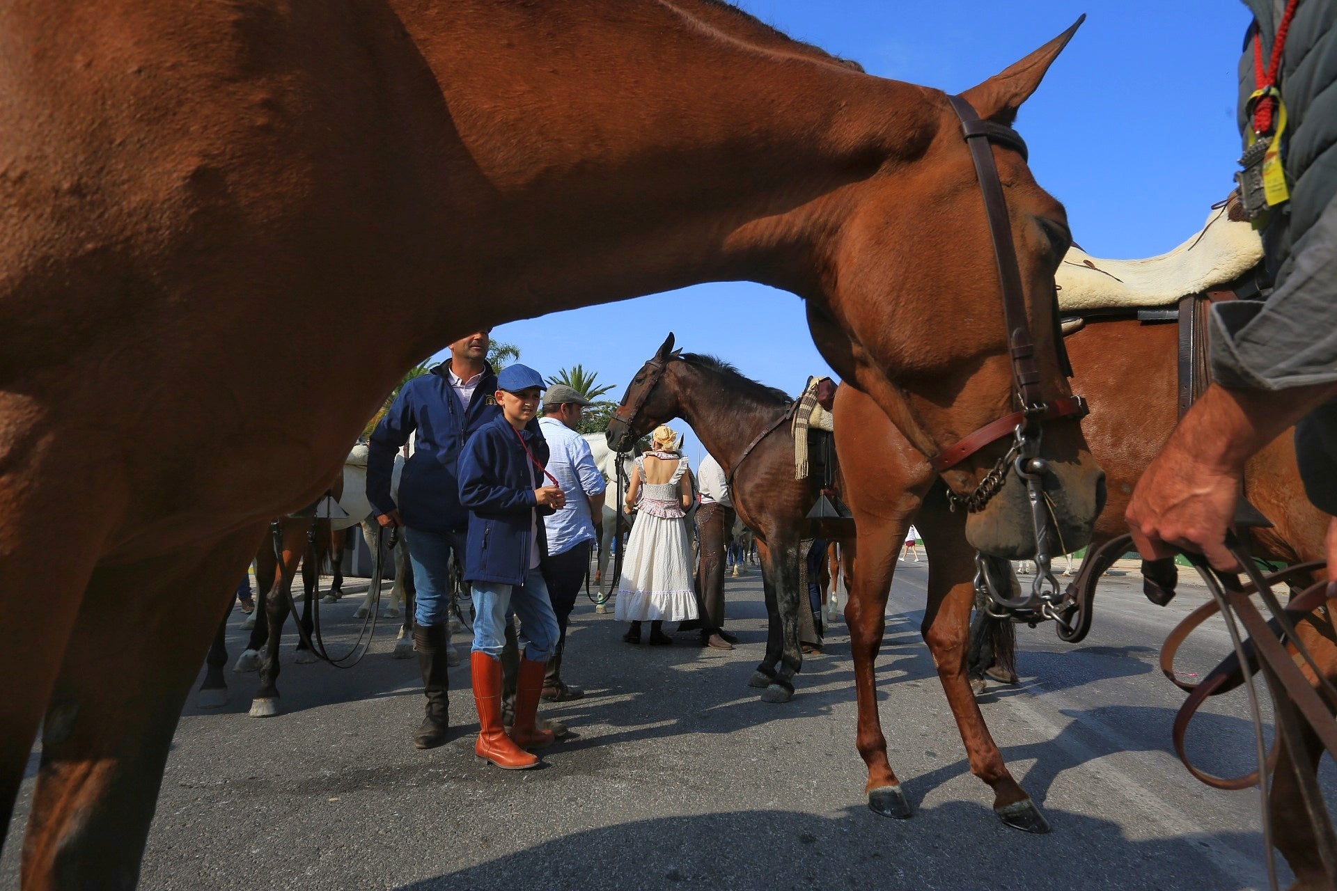 Las imágenes del embarque de las primeras hermandades de Cádiz en Bajo de Guía