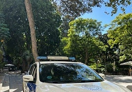 Detenido en Cádiz tras tirar piedras a unos jóvenes y golpear a un policía local