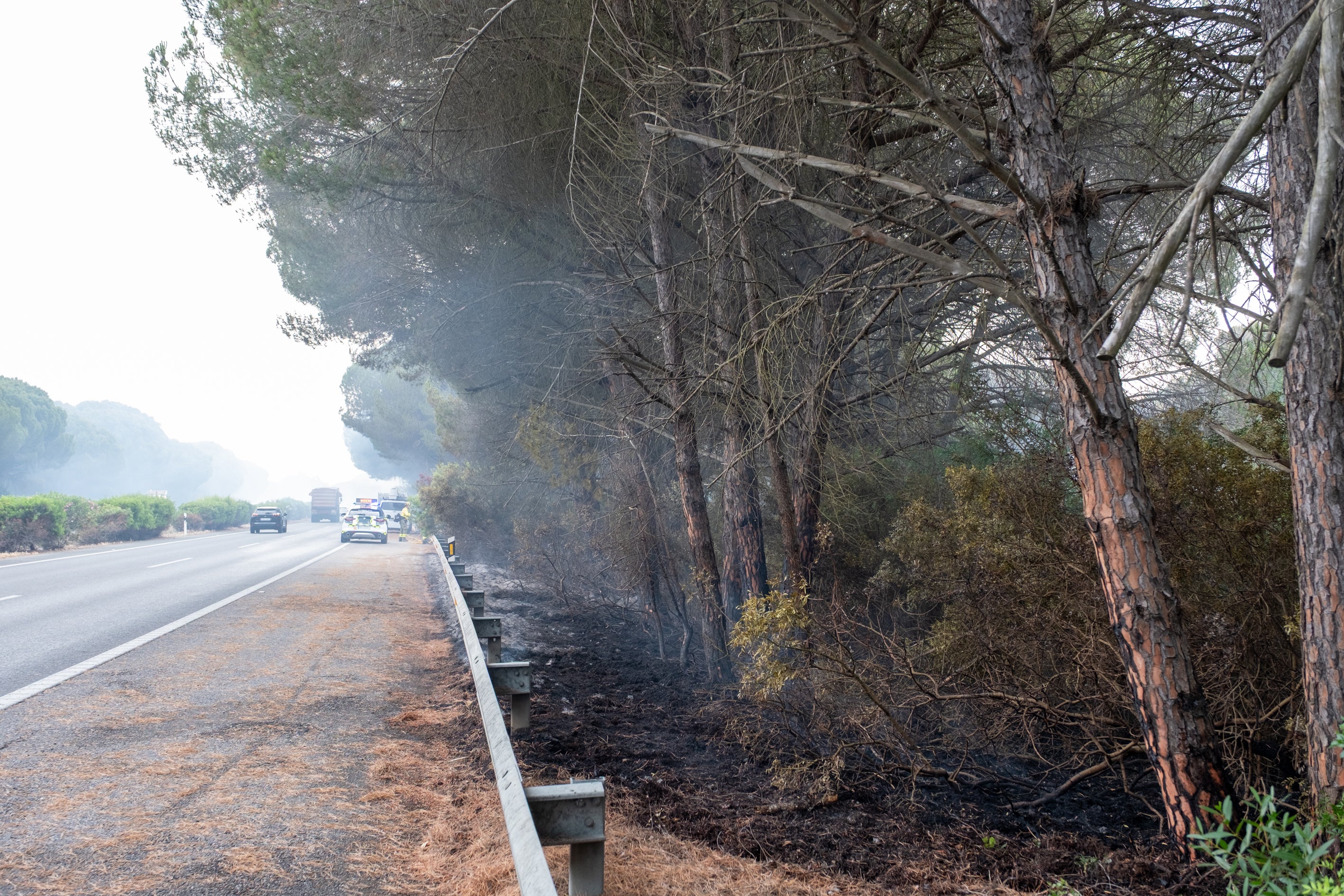 Fotos: Las imágenes del incendio de Puerto Real