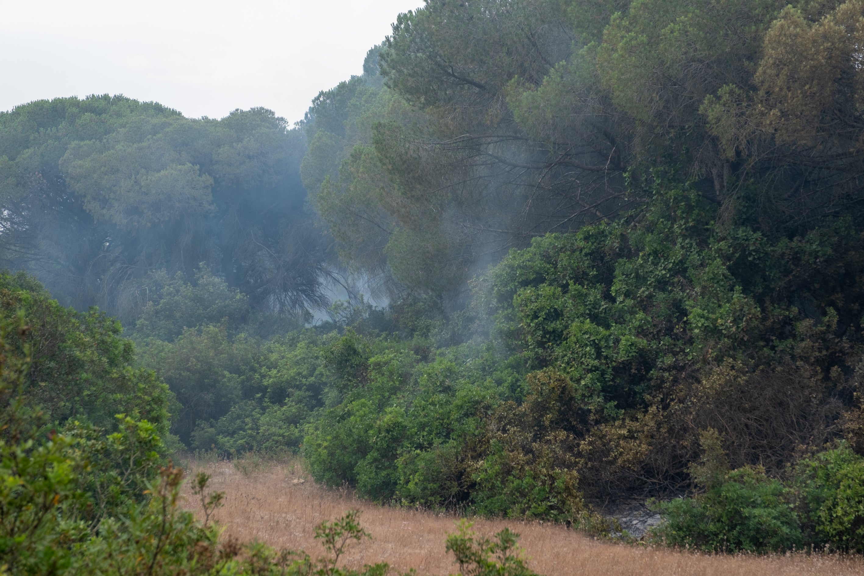 Fotos: Las imágenes del incendio de Puerto Real