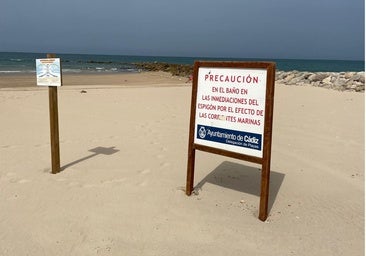 El Ayuntamiento de Cádiz insiste en respetar las zonas de baño 
