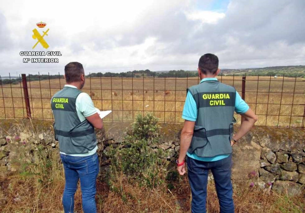 El equipo ROCA de Jerez de la Guardia Civil esclarece varios robos cometidos en explotaciones agrícolas del Bajo Guadalquivir