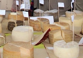 Este es el queso gaditano que ha sido elegido como el mejor de España en 2025