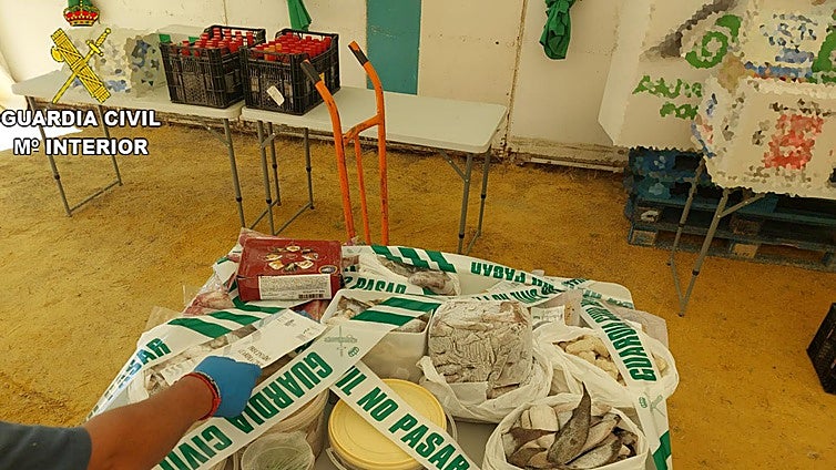 Más de 150 denuncias por alimentos en mal estado en las distintas ferias de la provincia de Cádiz