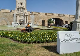 Más de 8.000 flores de temporada en varias zonas de la ciudad de Cádiz
