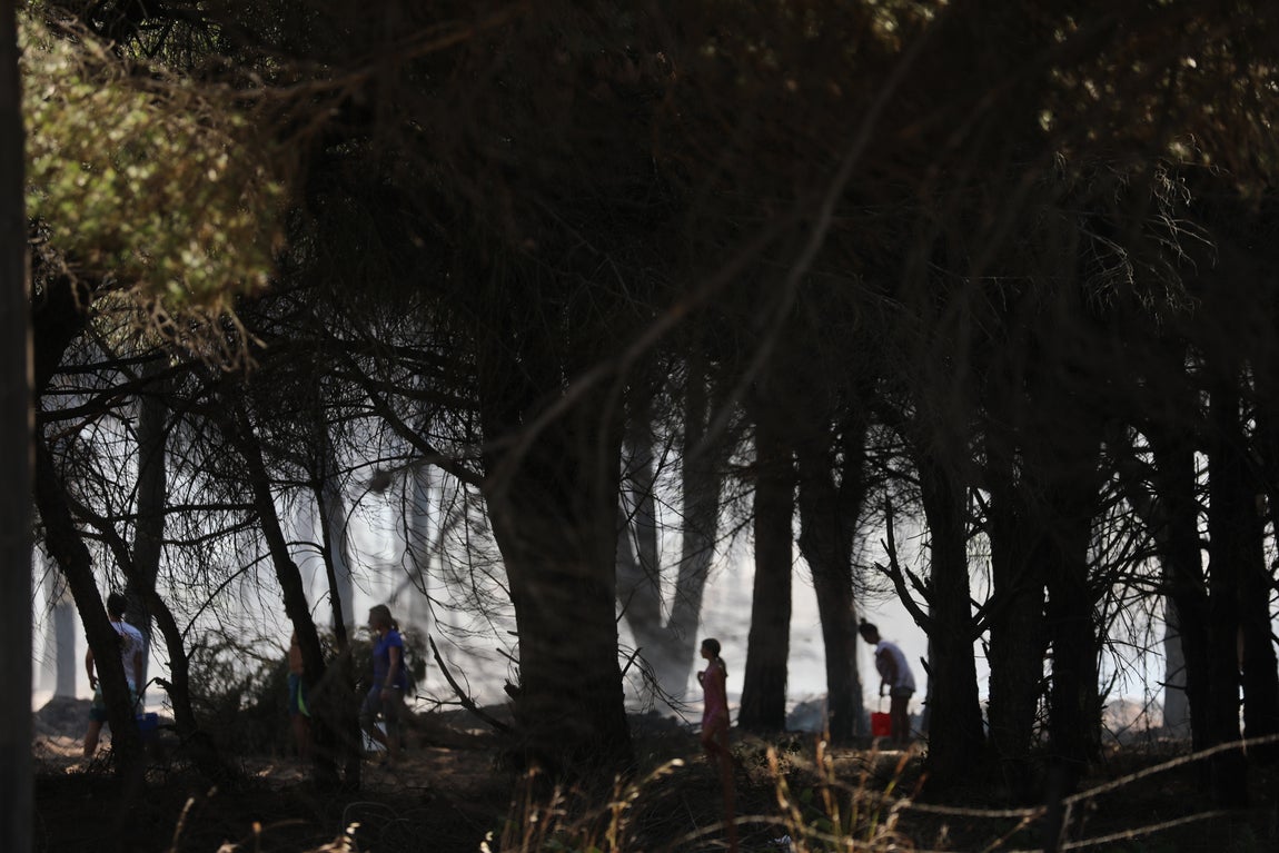 Fotos: Los vecinos se vuelcan para sofocar el incendio de Chiclana