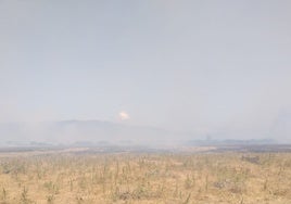 Infoca continúa trabajando en el incendio de Tarifa, en la pedanía de Fancinas, que está estabilizado