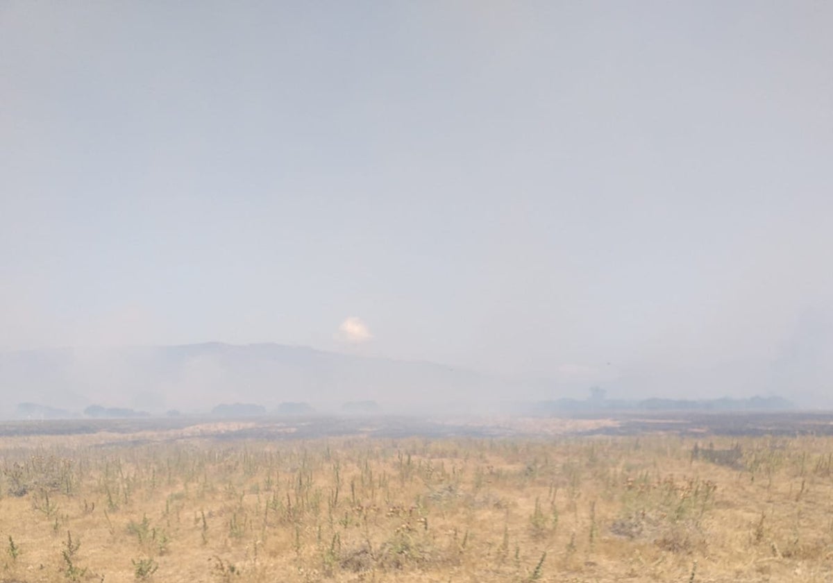 El INFOCA da por controlado el incendio de Tarifa