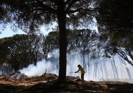 Las lluvias de otoño y las altas temperaturas disparan el riesgo de fuego en la provincia de Cádiz