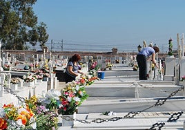 Protocolo Haru: la iniciativa pionera de Puerto Real para que las mascotas puedan «despedirse de sus dueños»