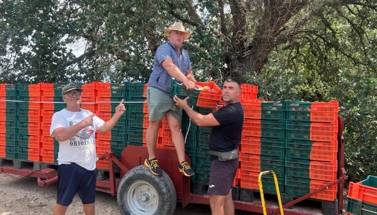 Jornaleros gaditanos acuden a la temporada del melocotón en Francia y ya se prepara la vendimia