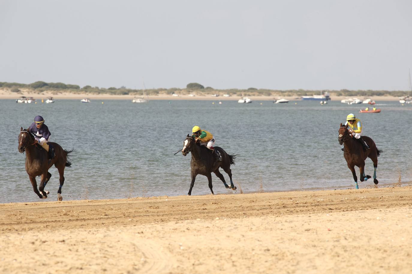 Fotos: Las Carreras de Caballos de Sanlúcar dan sus primeras galopadas