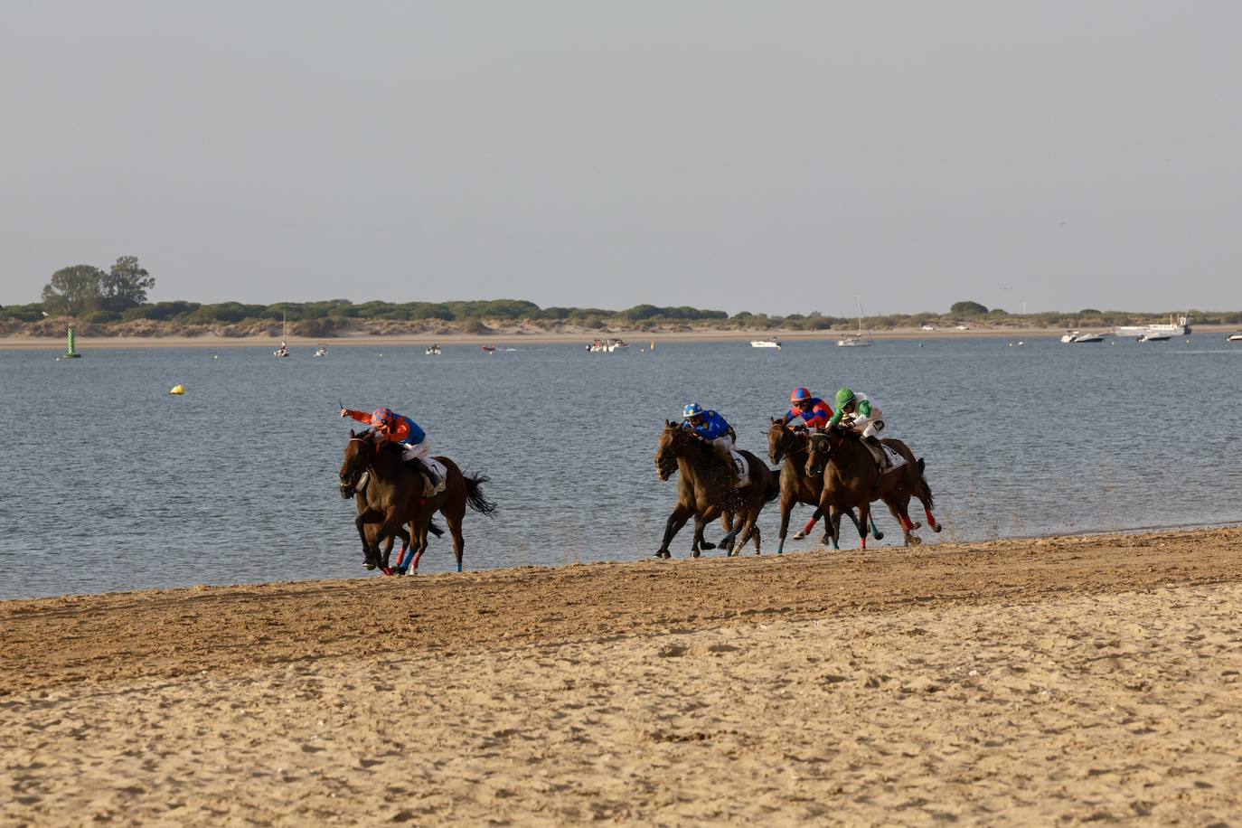 Fotos: Las Carreras de Caballos de Sanlúcar dan sus primeras galopadas