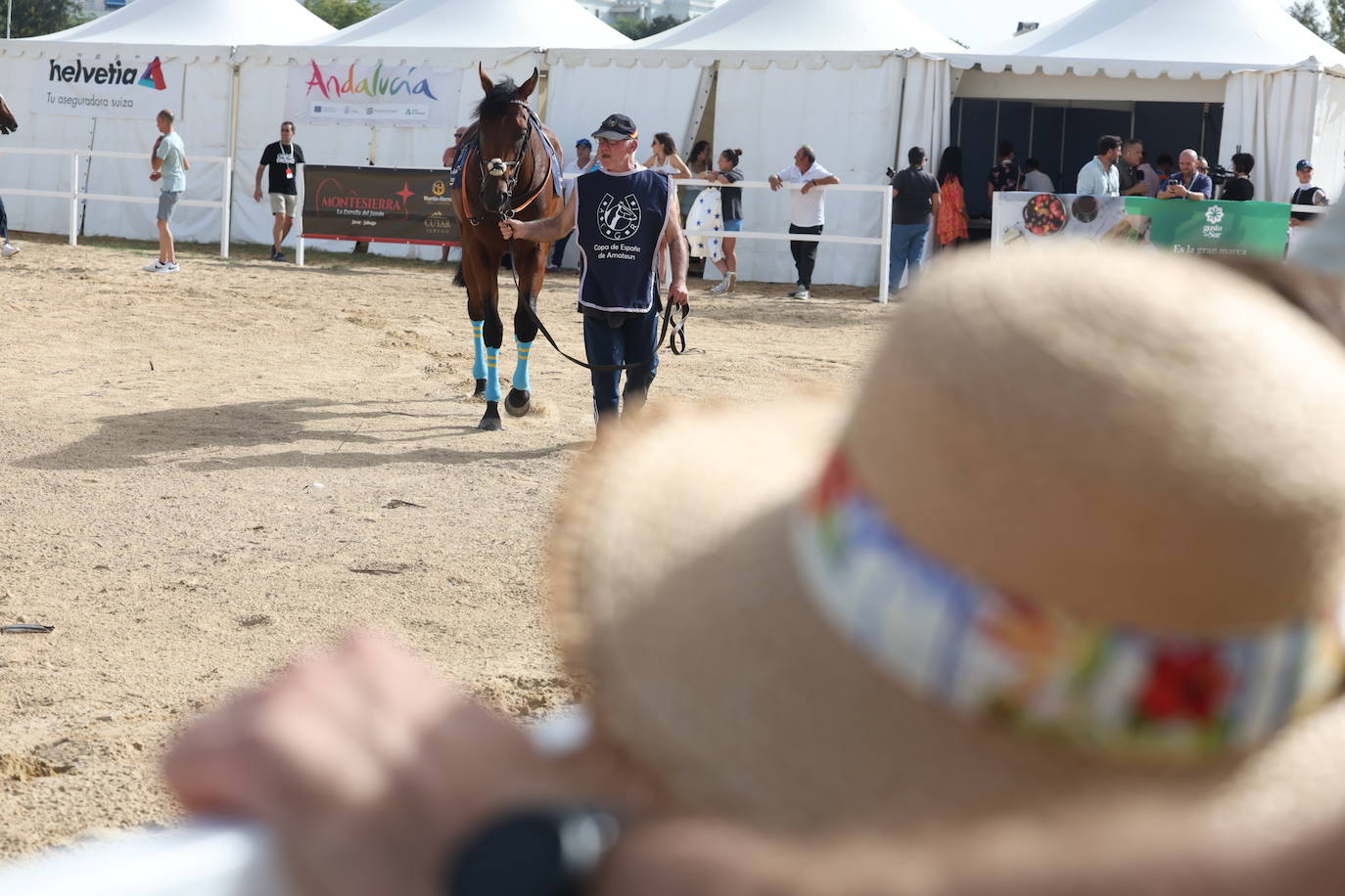 Fotos: Las Carreras de Caballos de Sanlúcar dan sus primeras galopadas