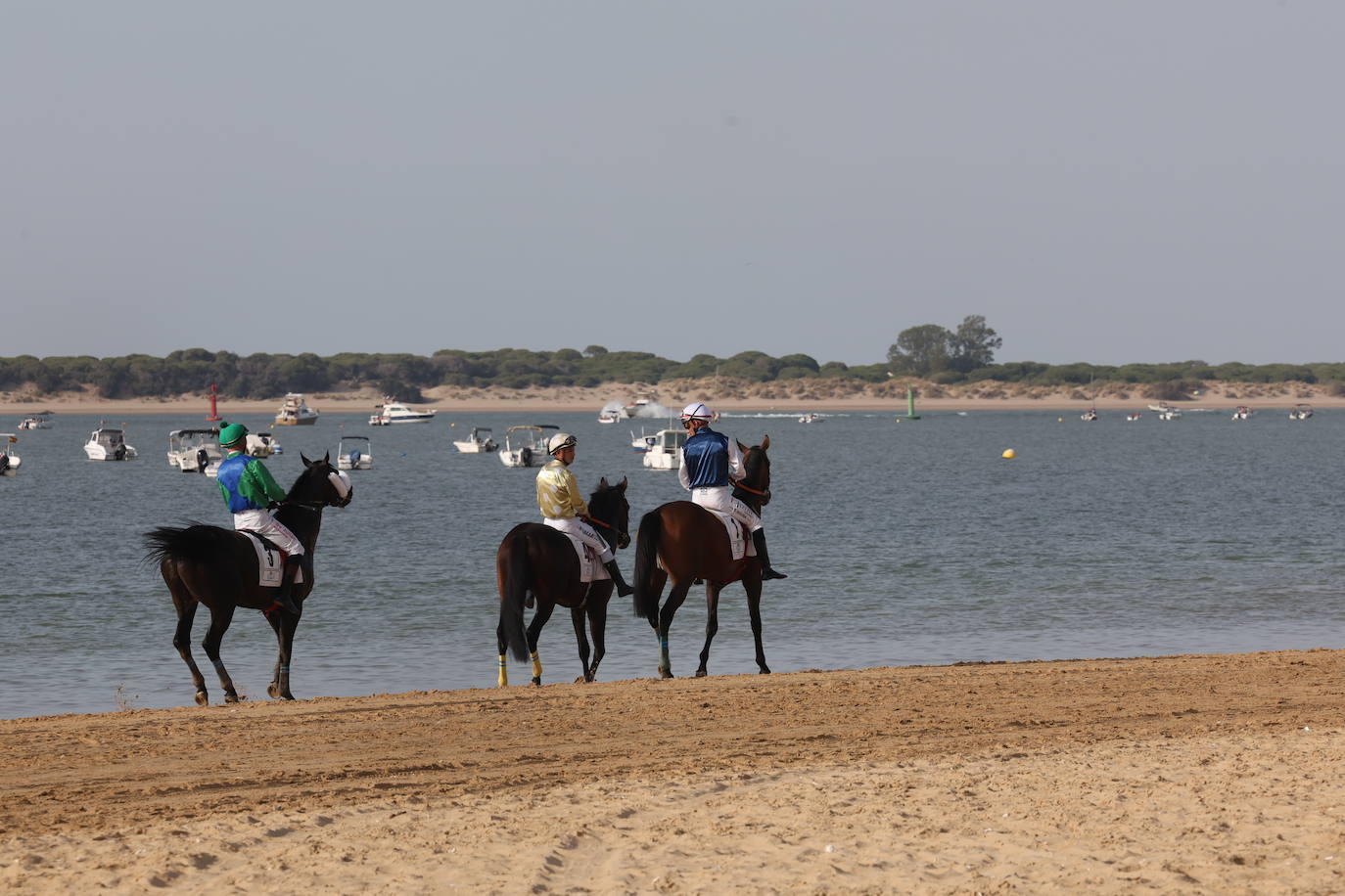 Fotos: Las Carreras de Caballos de Sanlúcar dan sus primeras galopadas