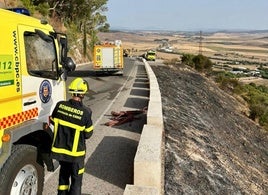 Un incendio de pasto y matorral entre Vejer y Medina calcina más de 9.000 metros cuadrados de terreno