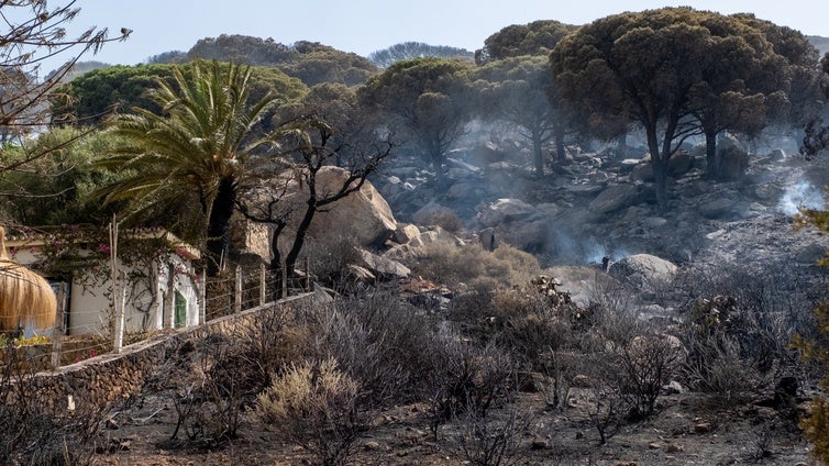 El fuego de Tarifa reaviva los peores recuerdos de siniestros en la provincia