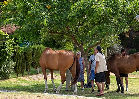Imagen secundaria 1 - Imágenes de este miércoles tras el incendio de la jornada pasada.