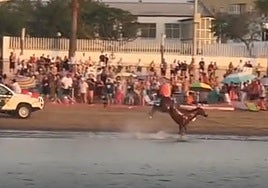 Un caballo desbocado provoca un susto en las carreras de Sanlúcar: así fue el emocionante rescate de Irma