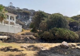 Así hemos contado el incendio de Tarifa hasta su estabilización