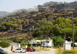 El viento complica la extinción del incendio de Tarifa y redirige los medios aéreos al frente norte