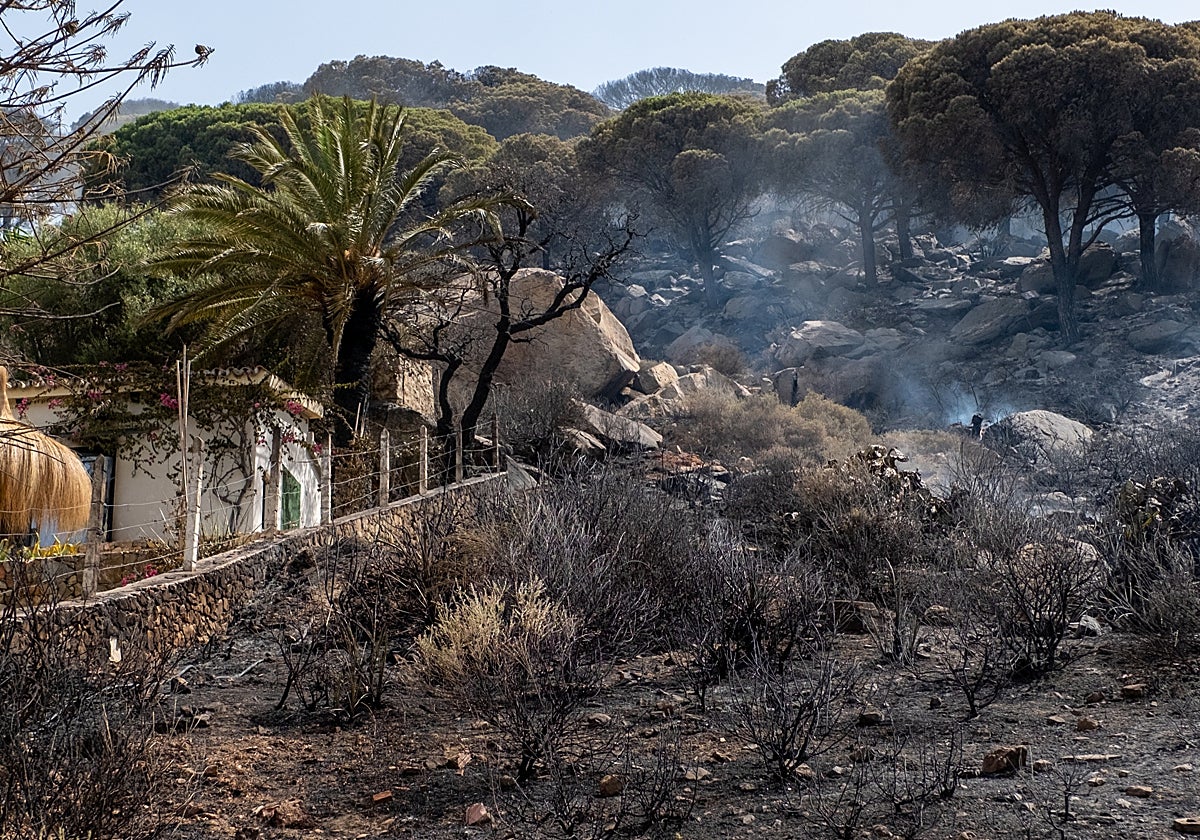 Así ha quedado parte del Parque Natural del Estrecho tras el incendio del pasado martes 5 de agosto.