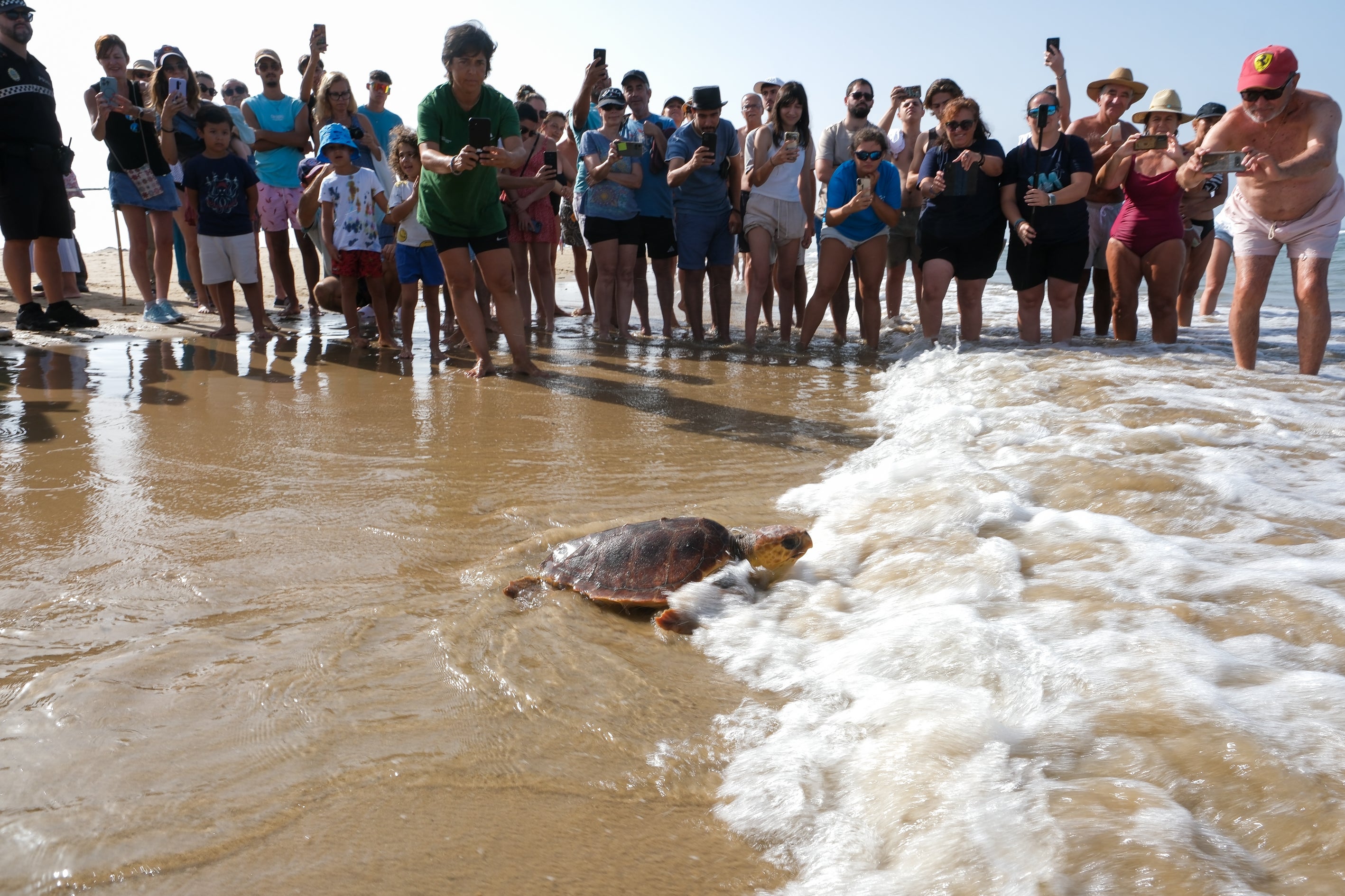 Fotos: Así ha sido la suelta de tres tortugas en la playa de Cortadura de Cádiz