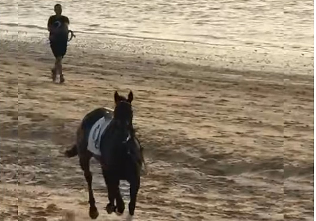 Caballo desbocado en la playa de Sanlúcar de Barrameda