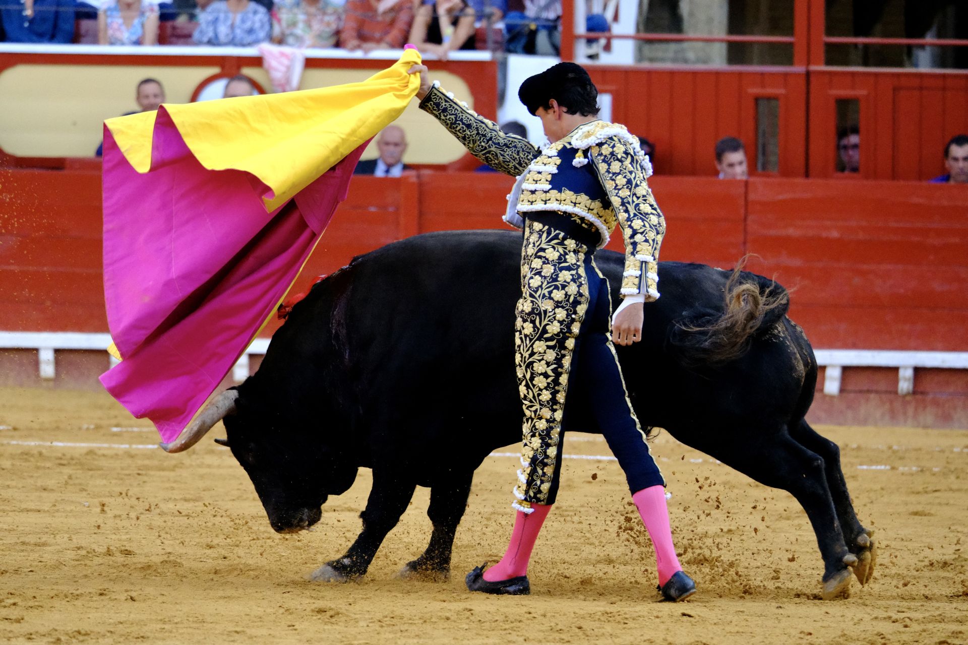 Toros en El Puerto: Morante, Roca Rey y Daniel Crespo