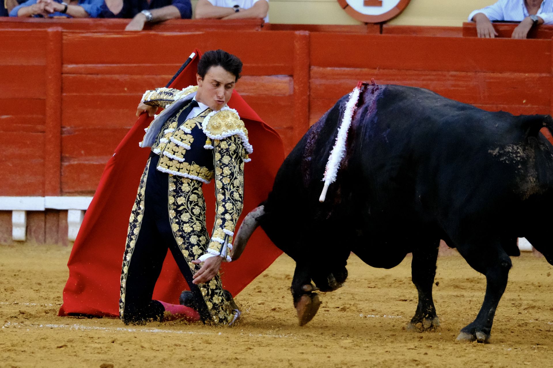 Toros en El Puerto: Morante, Roca Rey y Daniel Crespo