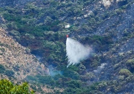 El Infoca da por extinguido el incendio de Tarifa