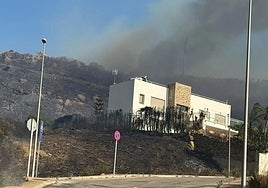 Nuevo incendio en Tarifa: Infoca intenta impedir el avance del fuego en la playa de Bolonia y Atlanterra