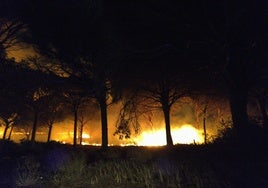 Nuevo incendio en la Dehesa de las Yeguas de Puerto Real