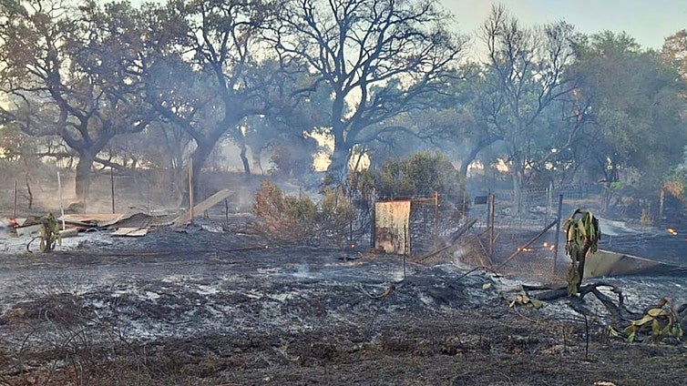 Un incendio con varios focos en Jerez da el susto este miércoles