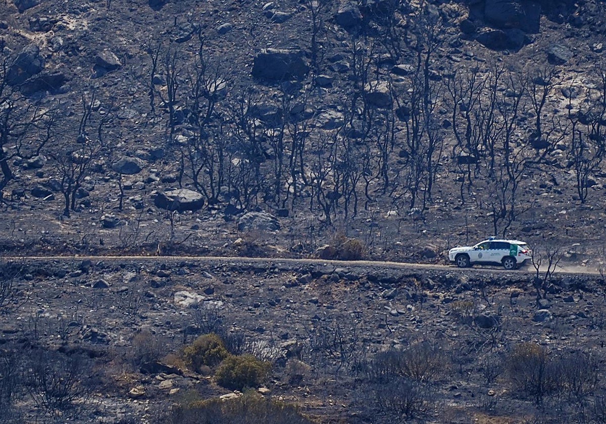 Un todo terreno del Infoca supervisa la zona quemada del fuego de Tarifa.
