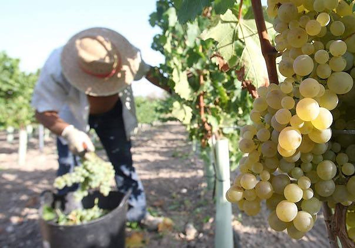 Merma en la producción