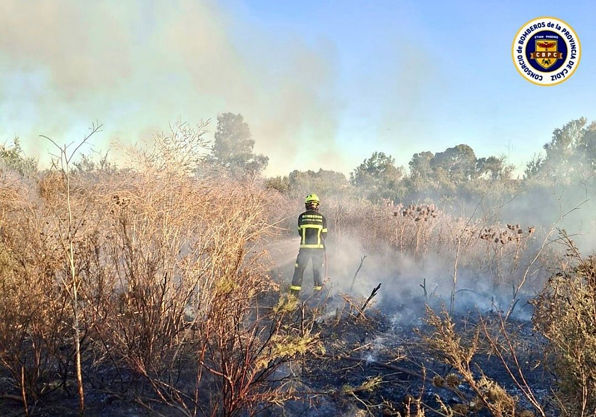 Un bombero del Consorcio de la Provincia de Cádiz actuando en un incendio en la carretera de Medina.
