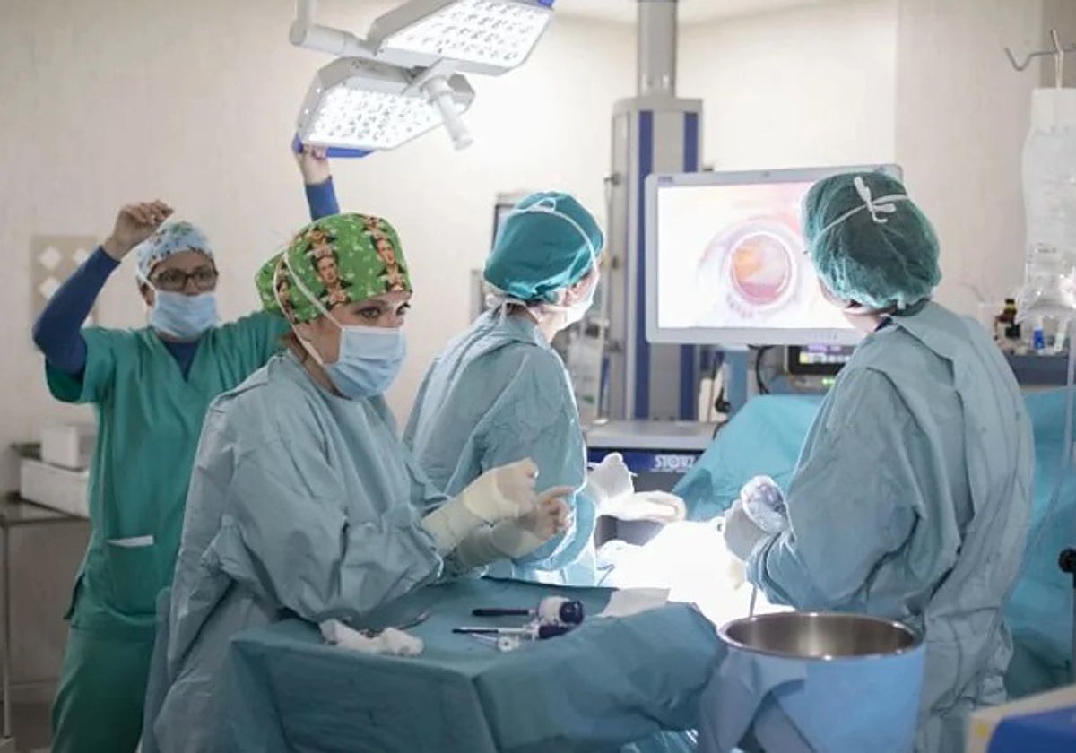 El SAS materializa el 98,7% de los contratos de su Plan de Verano