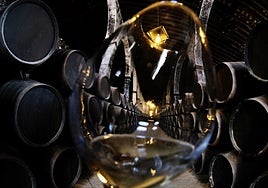 Los aranceles de Trump ponen a prueba a las empresas gaditanas: «No es momento para el desaliento, sino para la estrategia»