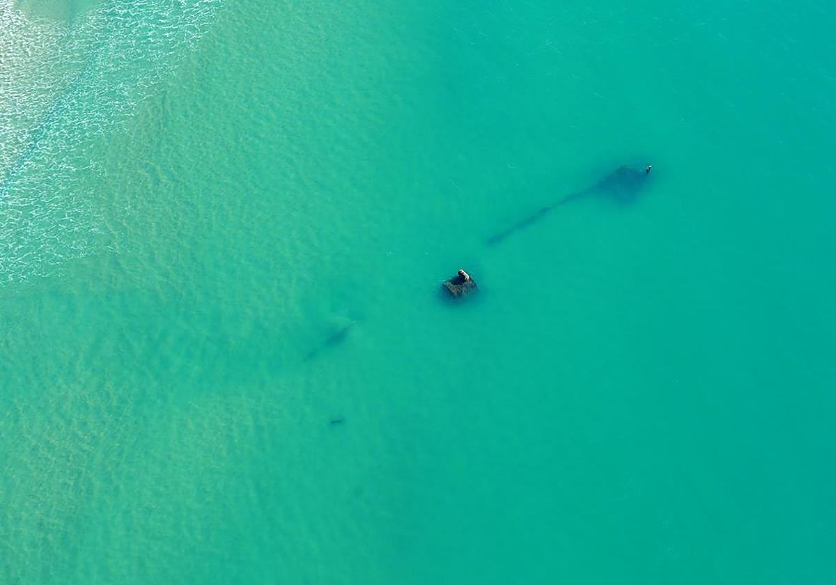 Imagen de los restos del vapor Gladiator, en Zahara de los Atunes