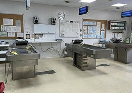 Las autopsias realizadas en el Instituto de Medicina Legal de Cádiz revelan un descenso de muertes violentas en un 7%