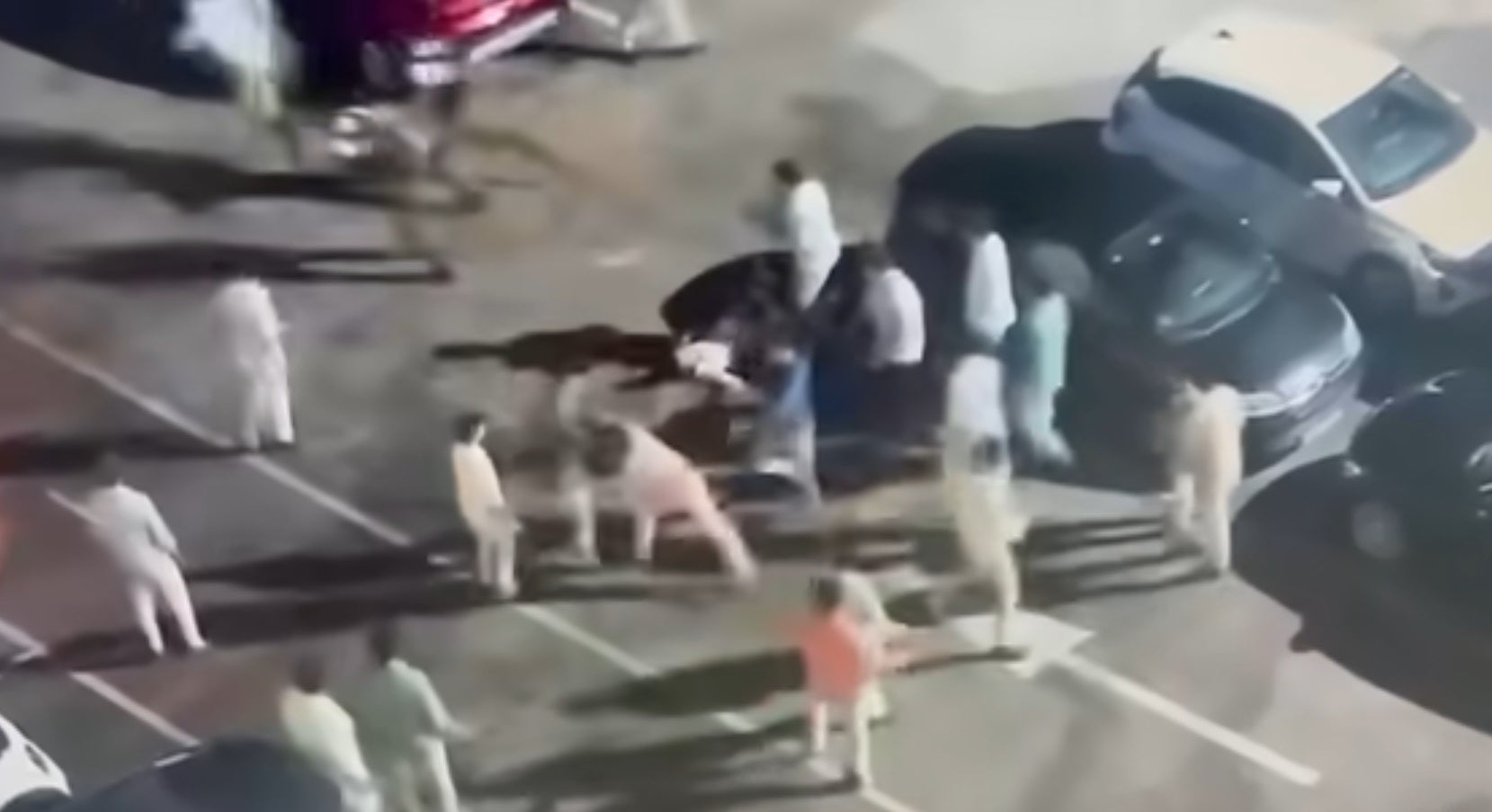 Pelea multitudinaria en el exterior de una discoteca en uno de los chiringuitos de Puerto Sherry