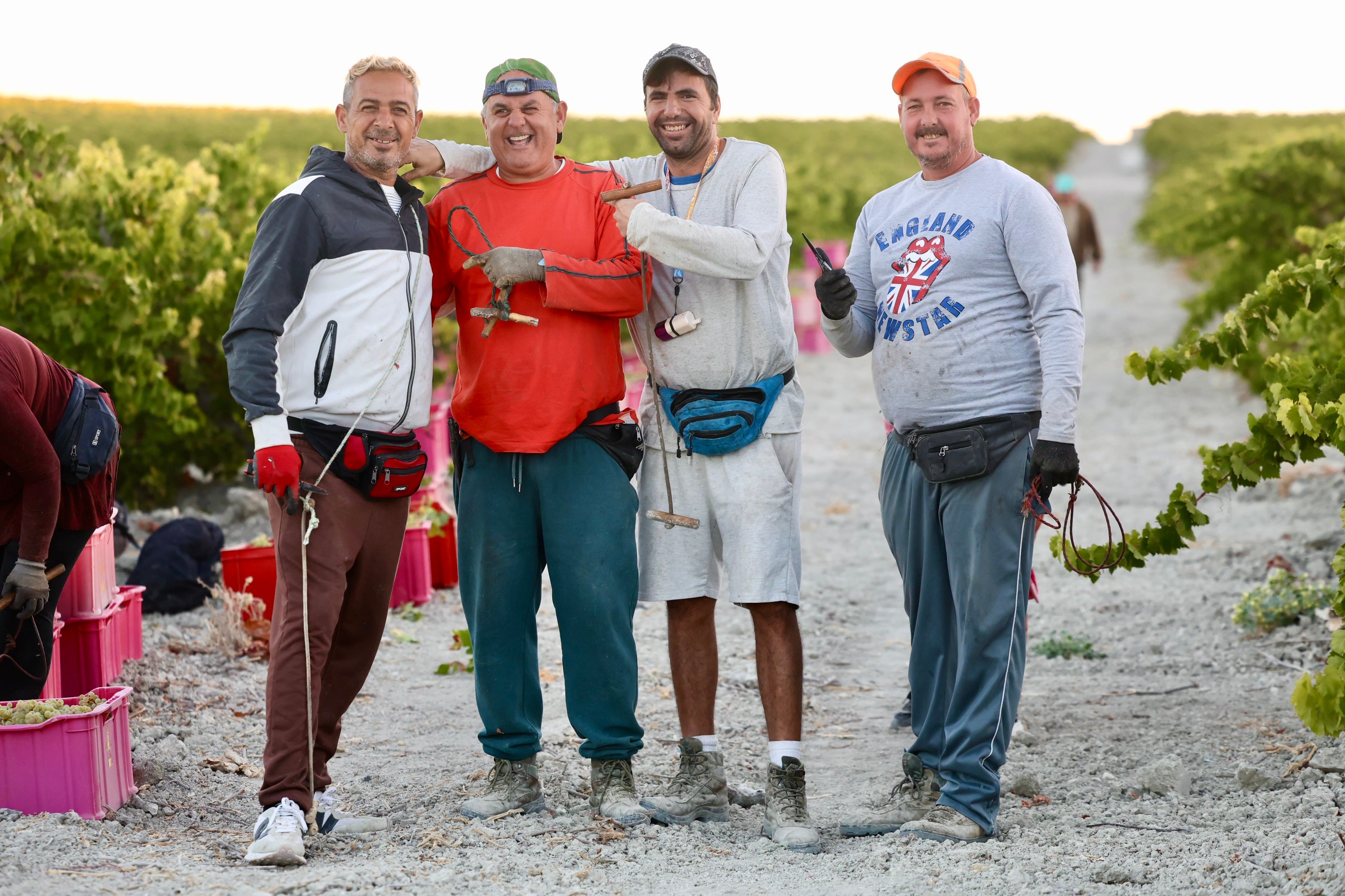 Fotos: El corazón del Marco de Jerez late otra vez con la vendimia