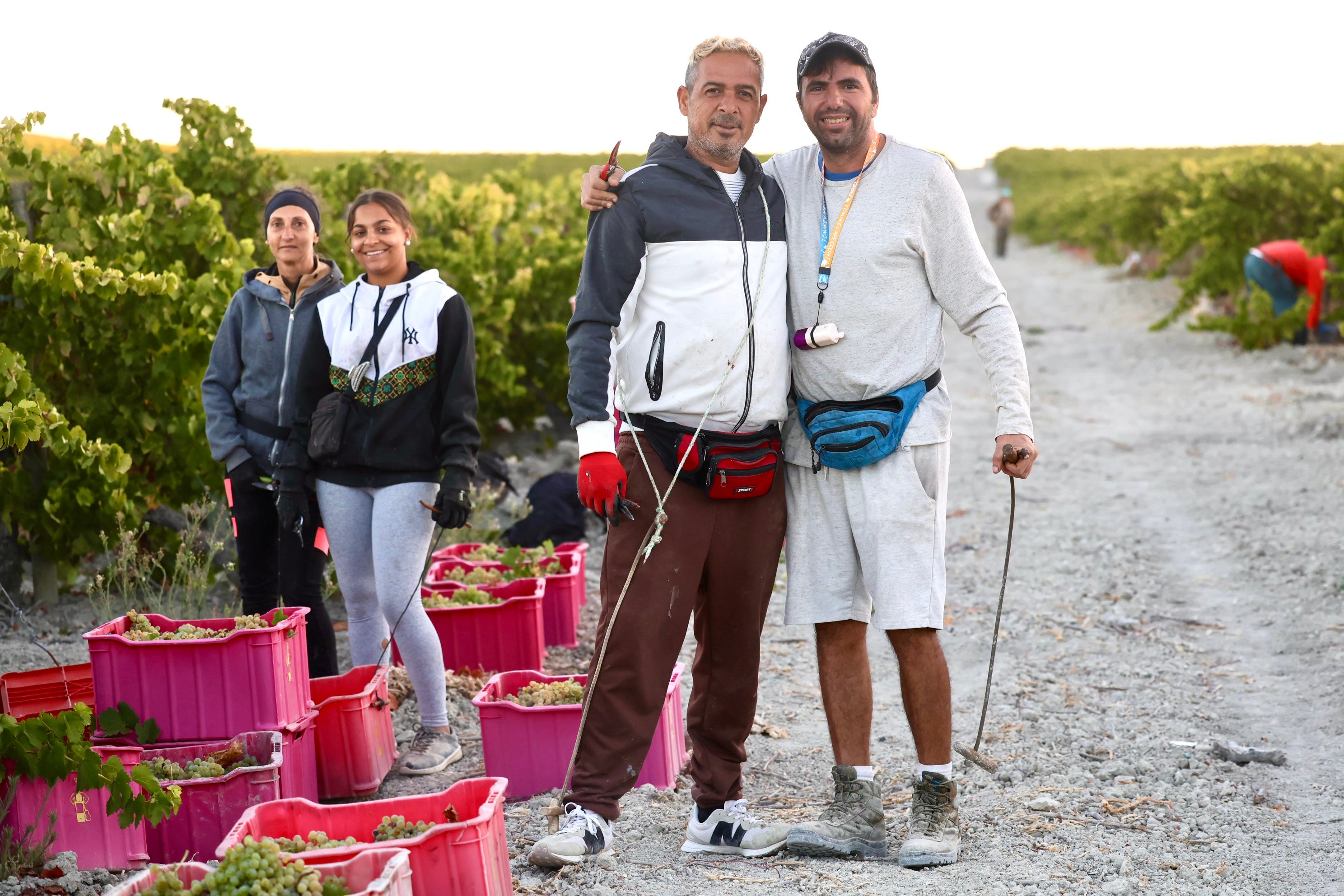 Fotos: El corazón del Marco de Jerez late otra vez con la vendimia